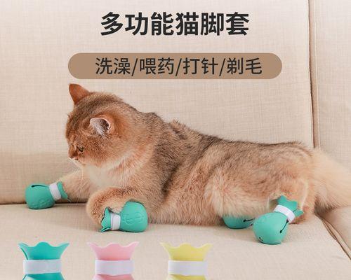 被小猫抓伤怎么办？宠物主人必看的应对方法