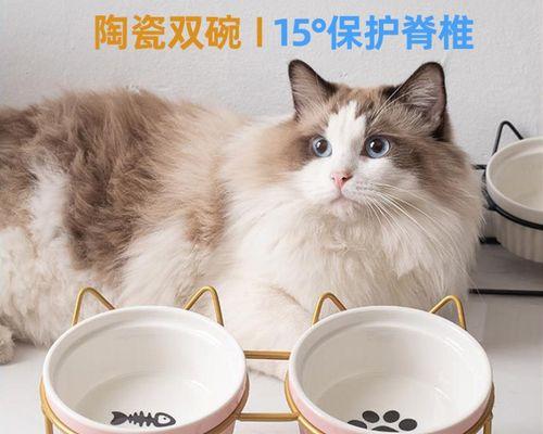 被小猫亲的美好感受（探究与宠物相处的幸福）