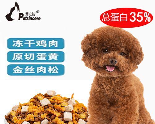 宠物犬感冒应该如何治疗（以博美狗感冒吃什么药）