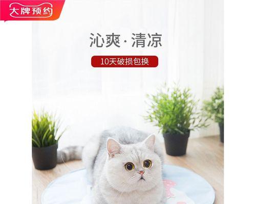 成年猫攻击小猫的原因及预防方法（宠物猫领域的必知知识）