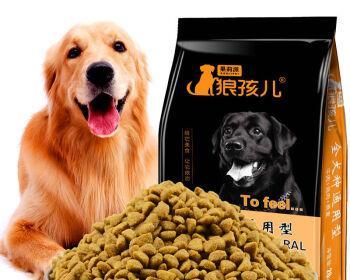 成犬期狗粮的选择与管理（为宠物犬提供最佳营养供给）