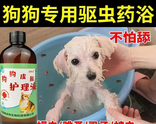 宠物犬体内驱虫大揭秘（宠物犬的健康与驱虫息息相关）