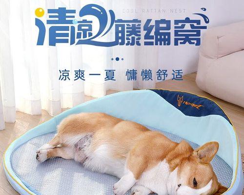 如何让幼犬爱上睡垫（让宠物的睡眠更加健康）