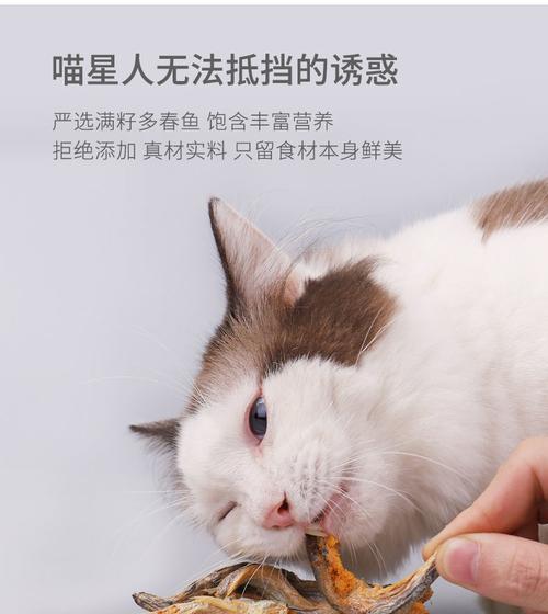 如何为宠物猫咪制作美味小鱼干（步步为营）