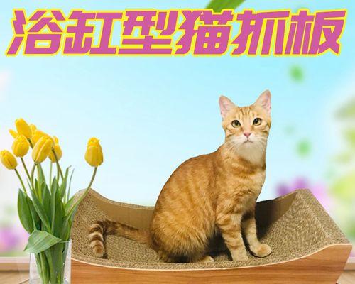 如何判断宠物是不是猫抓的（了解猫的爪痕特征）