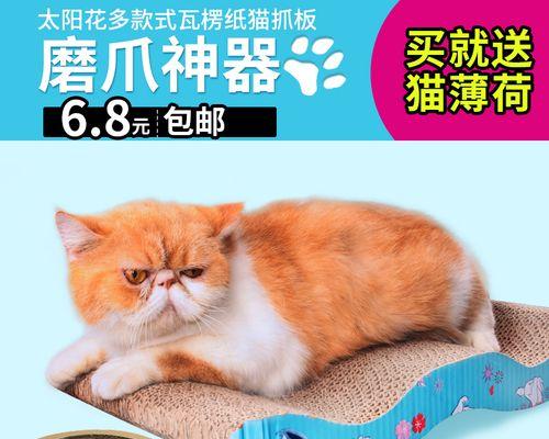 如何让宠物猫咪爱上猫抓板（猫抓板的作用与选择/训练猫咪使用猫抓板的技巧）