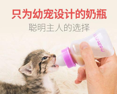 如何让宠物小猫爱上奶粉（营养缺失的小猫该如何补充营养）