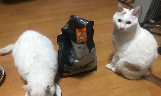 小猫不吃猫粮的原因（探究宠物猫的饮食习惯）