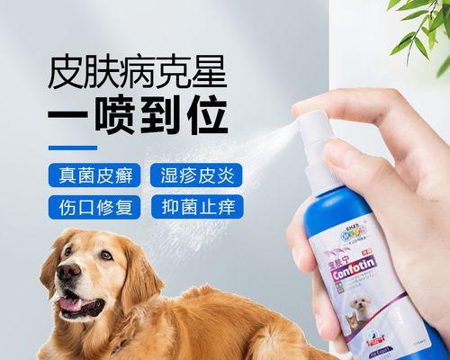 小猫皮肤病治疗全攻略（宠物爱好者必备）