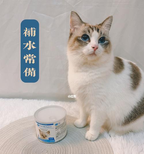 小猫可以喝袋装奶粉吗（解决宠物喂养难题）