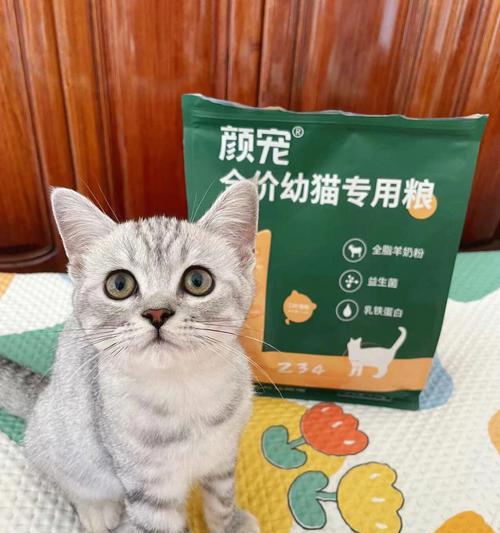 小猫可以喝全脂奶粉吗（宠物主人必看）