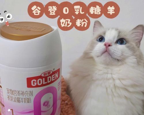 如何为小猫选择适合的奶粉（以宠物为主）