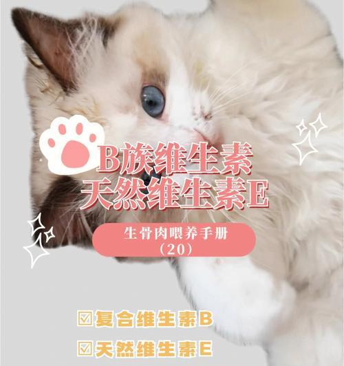 宠物小猫能否摄入维生素B1（探究小猫对维生素B1的需求和影响）