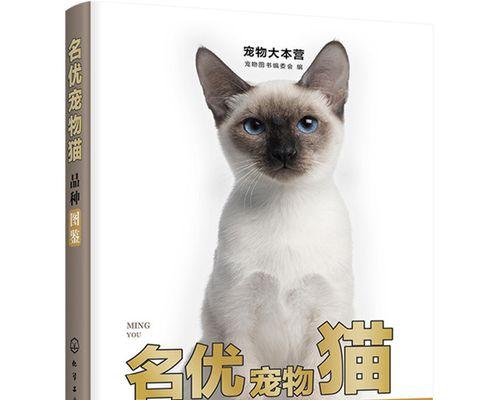 怎样给受伤的小猫进行正确的急救处理（宠物受伤出血）