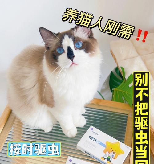 猫咪驱虫时间表（宠物猫咪体内驱虫的重要性与正确驱虫时间）