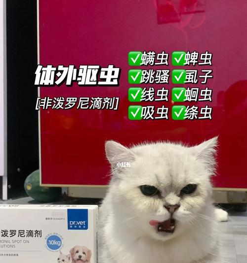 猫咪驱虫必知，保护宠物健康（从驱虫的时间、方式到注意事项）