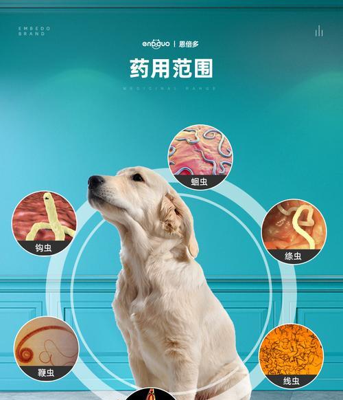 以犬绦虫病为题，探讨吡喹酮的疗效和用药时间（治疗宠物犬绦虫病的有效药物——吡喹酮）