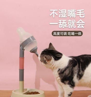 15天小狗的饮水需求（宠物犬健康的重要保障——水）