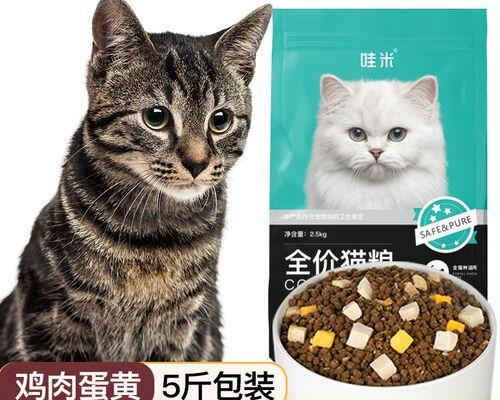 小猫被大猫咬伤腿怎么办（以宠物为主的家庭意外）