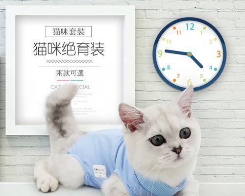 如何让大猫不叼小猫（解决宠物间攻击问题）