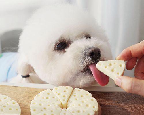 大型幼犬的钙补充方法（宠物健康从饮食开始）