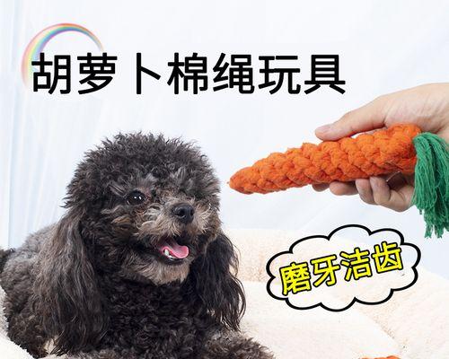 小狗可以吃红萝卜吗（探究小狗食用红萝卜的好处与注意事项）