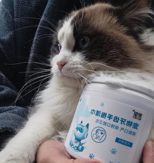 湿巾轻松擦耳，让猫咪更舒适（宠物的健康需要我们的呵护）