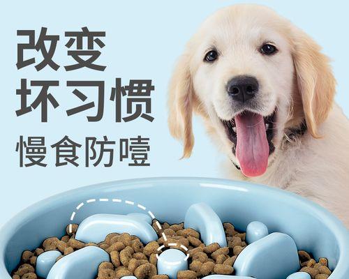 拉布拉多犬的饮食习惯与健康（以肉类为主的饮食计划及营养摄入要点）