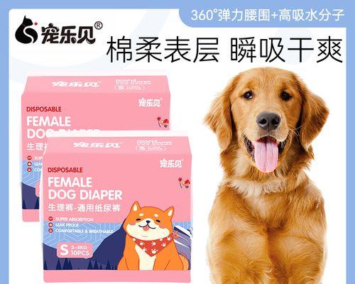 老金毛犬拉肚子怎么办（宠物拉肚子的原因及治疗方法）