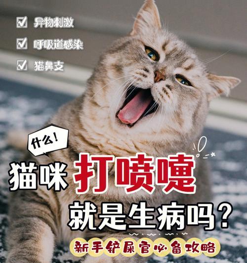 宠物猫咪总是打喷嚏流鼻涕怎么办（探寻猫咪喷嚏鼻涕的原因和应对方法）