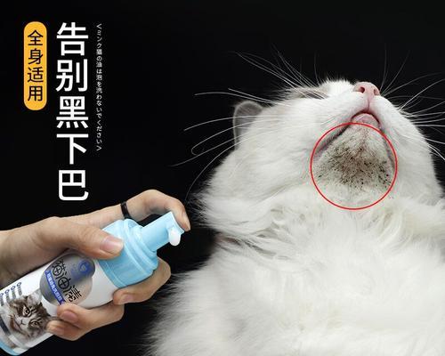 揭秘猫咪黑下巴真菌传染病（猫咪爱好者必读）