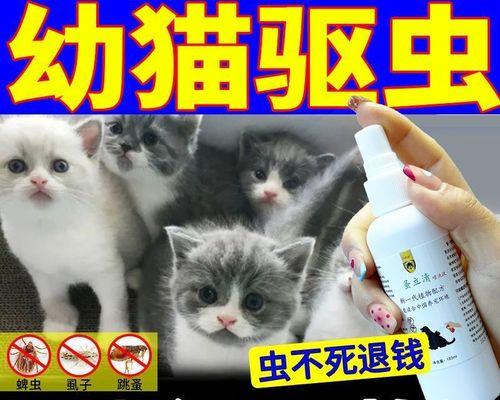 猫咪能只用清水洗掉跳蚤吗（以宠物为主的清洗方法及注意事项）