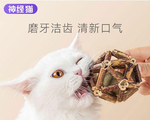 如何给你的爱猫进行按摩（教你的猫咪放松身心）