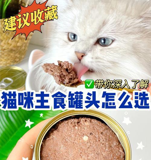 如何为您的猫咪提供最适宜的食物（从宠物身体健康和食品配方两方面看待猫咪食品）