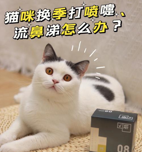 如何给宠物猫咪治疗感冒（常见的猫咪感冒症状及药品推荐）