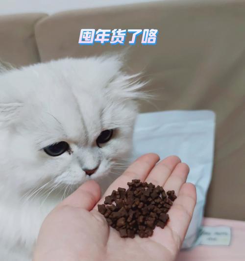 猫咪自己吃东西吐了，要注意哪些问题（猫咪饮食管理和吐嚎症状初探）