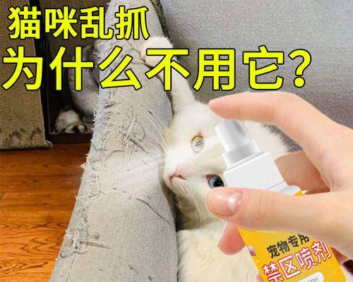 猫咪总挠沙发，如何应对（宠物沙发破坏难题解决方案）