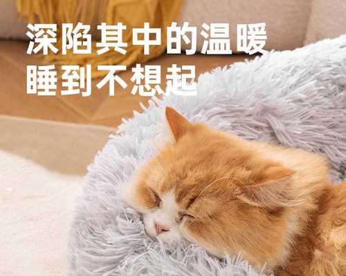 猫咪如何在家中钻过多少个小洞（宠物猫咪如何享受挖洞的乐趣）