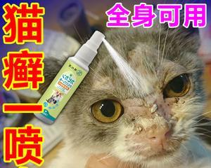 猫咪螨虫药物治疗指南（如何用药有效治疗宠物猫咪的螨虫感染）