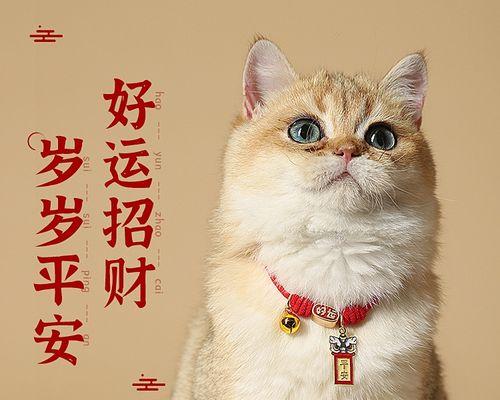 如何正确摸小猫的脖子避免被抓咬（掌握宠物摸头摸耳技巧）