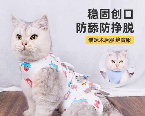 母猫哺乳期中断奶的时间与方法（宠物猫的断奶准备工作及注意事项）