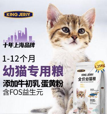 小猫奶糕的适宜食用量（了解宠物的饮食需求）