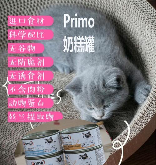 小猫奶糕的适宜食用量（了解宠物的饮食需求）