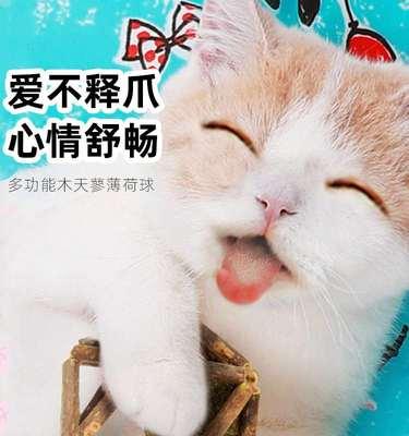 小猫的健康需要——猫薄荷（为宠物选择天然草本食品）