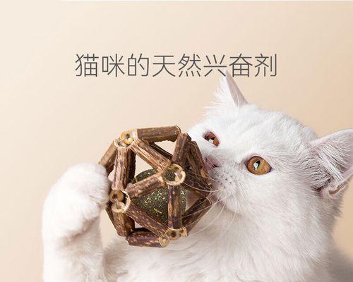 小猫的健康需要——猫薄荷（为宠物选择天然草本食品）