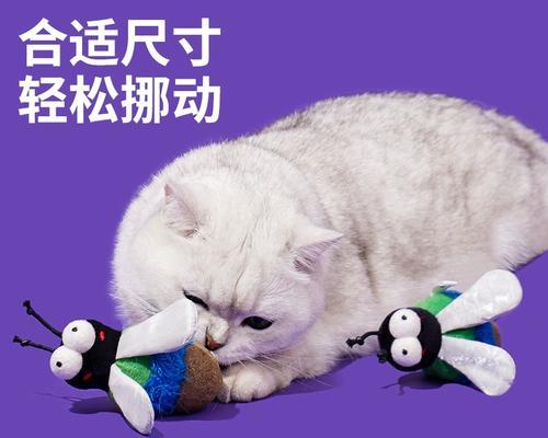 小猫的健康需要——猫薄荷（为宠物选择天然草本食品）