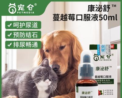 小猫尿道炎的症状及治疗方法（宠物主人必知的小猫尿道炎防治知识）