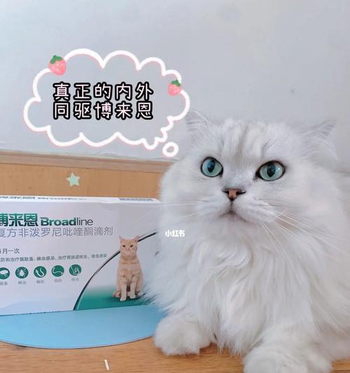 小猫驱虫后多久可以洗澡（探究宠物小猫驱虫后洗澡的正确时间）