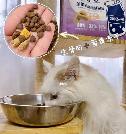 小猫何时开始吃猫粮（宠物主人必看）