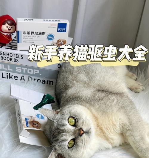 小猫除虫的正确时机与方法（宠物健康从细节开始）